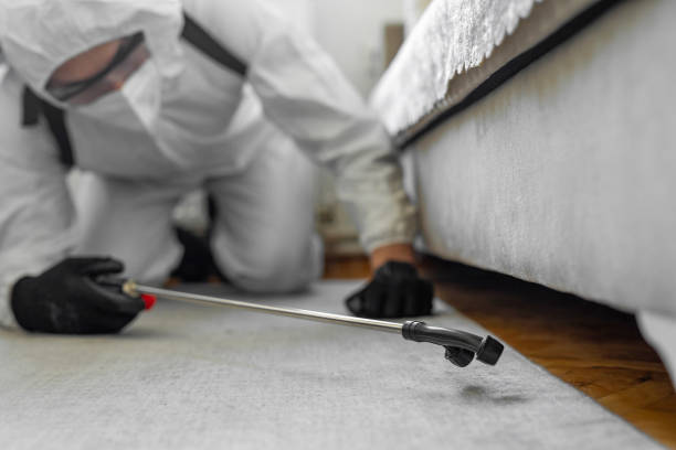 Professional Bed Bug Control technician working in Reedsport, OR
