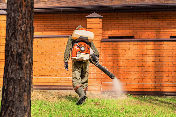 Trusted Mosquito Control service in Reedsport, OR - Nex Pest Control
